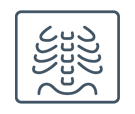 X-Ray Services